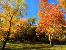 photo thumbnail #14