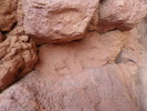 photo thumbnail #12