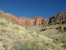 photo thumbnail #13
