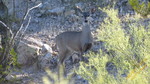 photo thumbnail #15