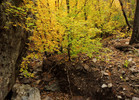 photo thumbnail #11