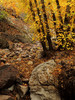 photo thumbnail #12