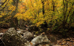 photo thumbnail #14
