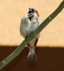 photo thumbnail #1