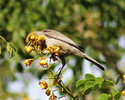 photo thumbnail #10