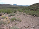 photo thumbnail #3