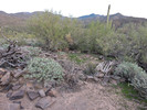 photo thumbnail #5