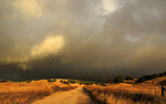photo thumbnail #10