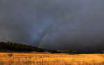 photo thumbnail #13