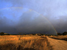 photo thumbnail #14