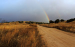 photo thumbnail #15