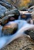photo thumbnail #6