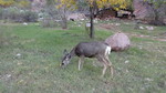 photo thumbnail #8