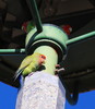 photo thumbnail #9