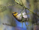 photo thumbnail #10