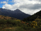 photo thumbnail #1