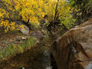 photo thumbnail #12