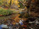 photo thumbnail #14