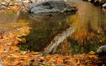 photo thumbnail #15