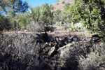 photo thumbnail #11