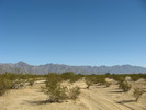 photo thumbnail #5