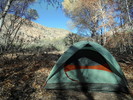 photo thumbnail #4
