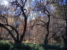 photo thumbnail #8