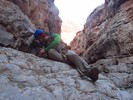photo thumbnail #12
