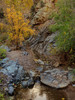 photo thumbnail #14