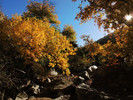 photo thumbnail #15