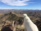 photo thumbnail #9