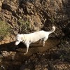 photo thumbnail #15