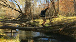photo thumbnail #10