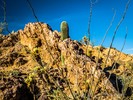 photo thumbnail #4