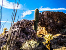 photo thumbnail #5