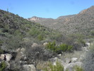 photo thumbnail #2