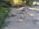 photo thumbnail #9