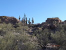 photo thumbnail #6