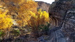 photo thumbnail #7