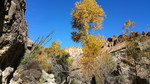 photo thumbnail #10