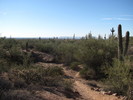 photo thumbnail #1