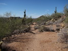 photo thumbnail #3