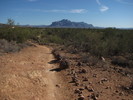 photo thumbnail #5