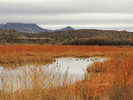 photo thumbnail #9
