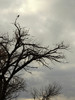 2015-11-28 :3: Hiking a Refuge :: outdoor_lover