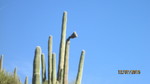 photo thumbnail #15