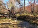 photo thumbnail #8