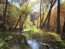 photo thumbnail #15