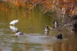photo thumbnail #11