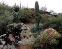 photo thumbnail #6